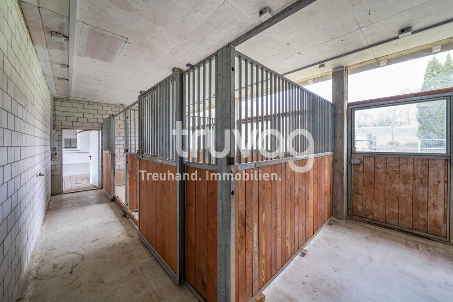 Incantevole villa di campagna con stalle - Foto 6 di 8