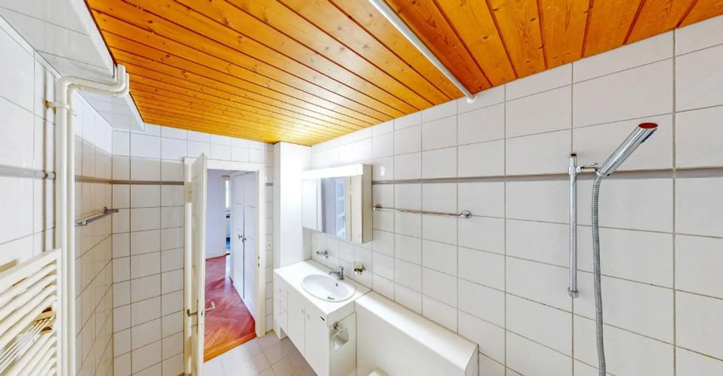 Beautiful apartment near Lake Zurich! - Photo 8 of 9