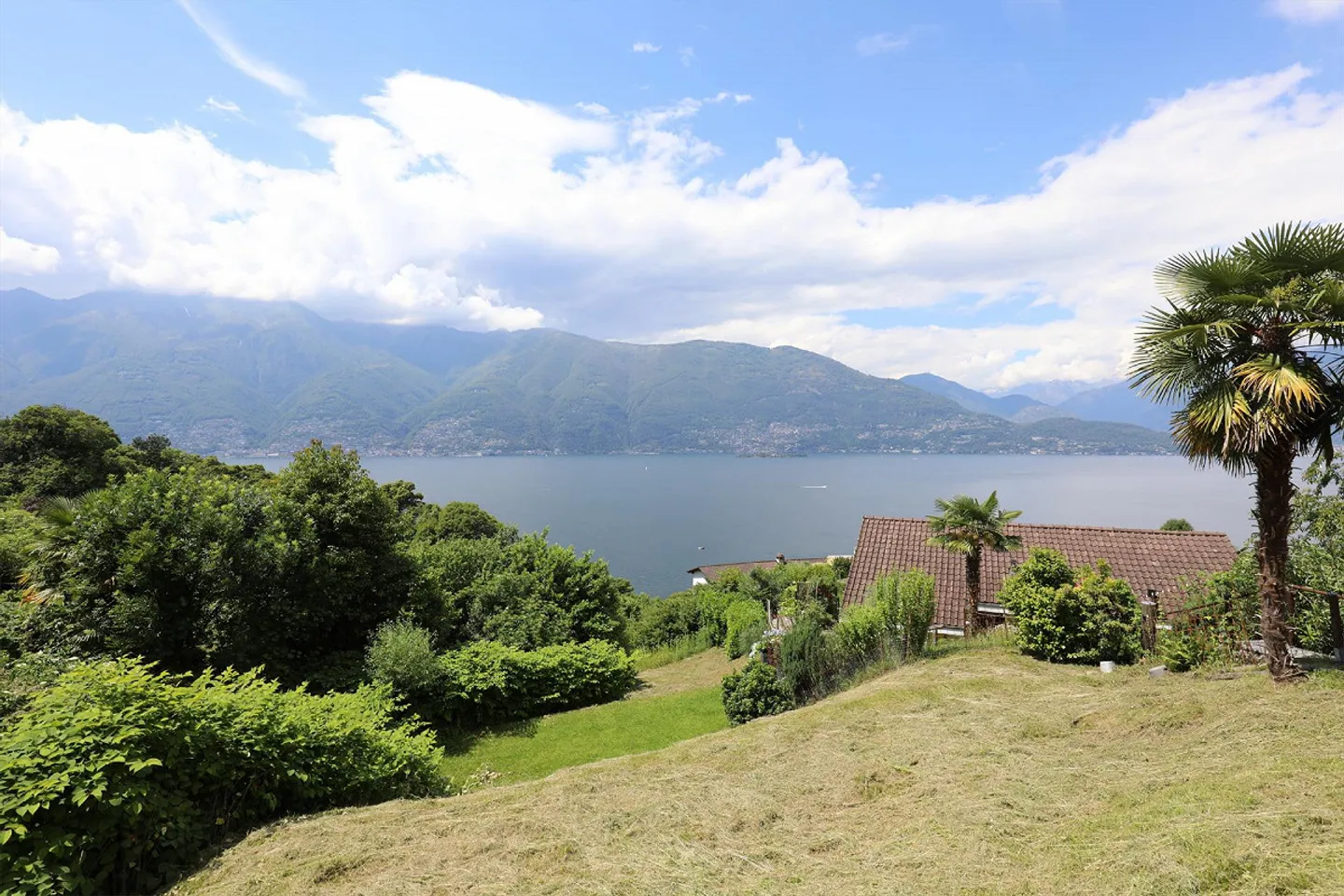 Terreno edificabile con vista panoramica sul Lago Maggiore - Foto 2 di 7