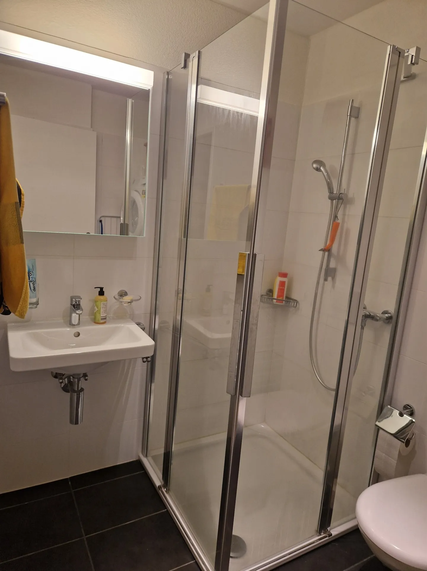 APPARTEMENT 3½ PIÈCES À LOCARNO (TI), MEUBLÉ, TEMPORAIRE - Photo 5 sur 8