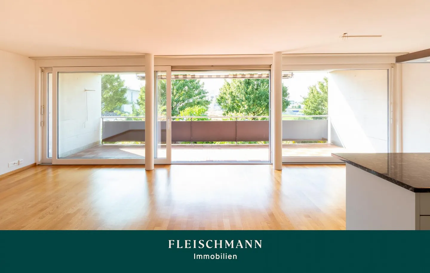 Comfortable living with sun-drenched west balcony - Photo 1 of 12