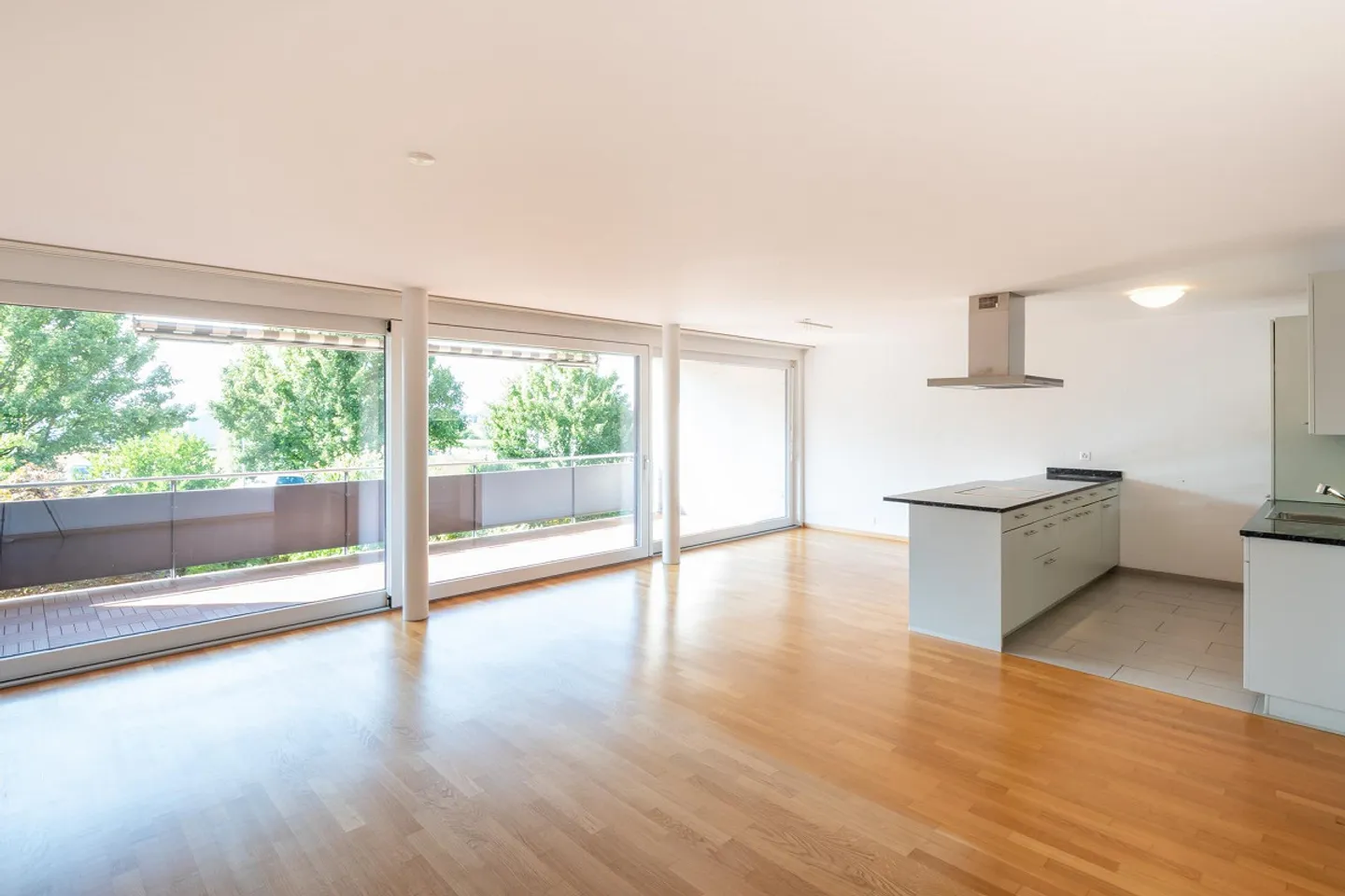 Comfortable living with sun-drenched west balcony - Photo 5 of 12