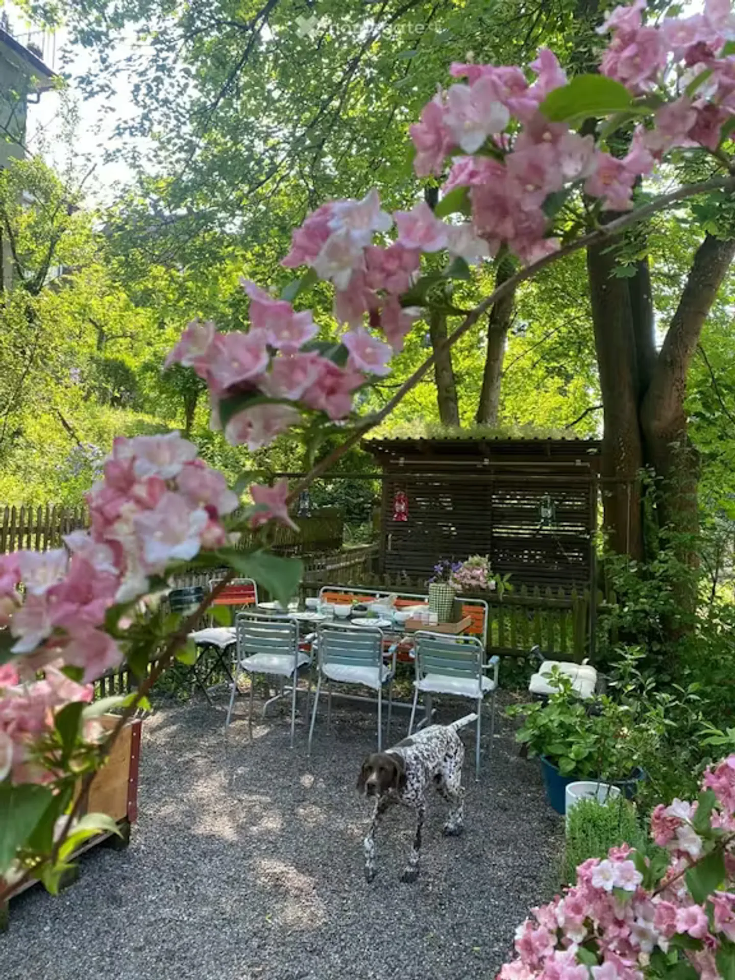 Wohnung mieten - Foto 10 von 10