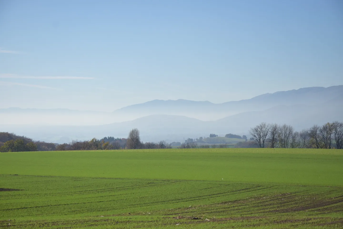 Appartamento affascinante - Burtigny - Foto 1 di 2