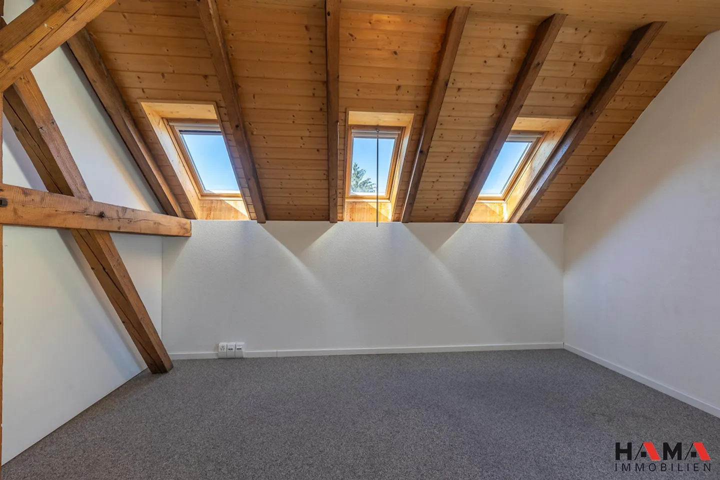 Ampio nuovo appartamento loft di 5,5 stanze - Foto 1 di 7