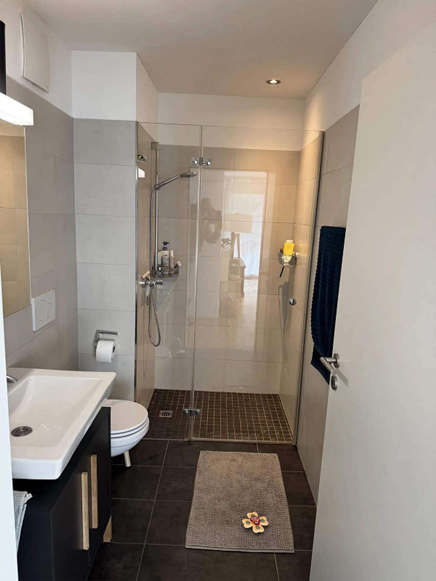 Modern, bright 4.5 room ground floor apartment with patio - Photo 3 of 8