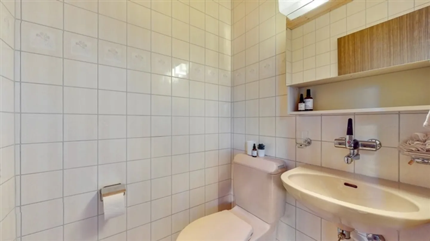 Ampio appartamento galleria a Langnau - Foto 10 di 11