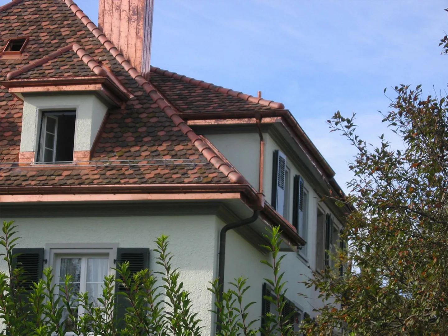 Vivere a Elfenau - Il tuo sogno? - Foto 5 di 15