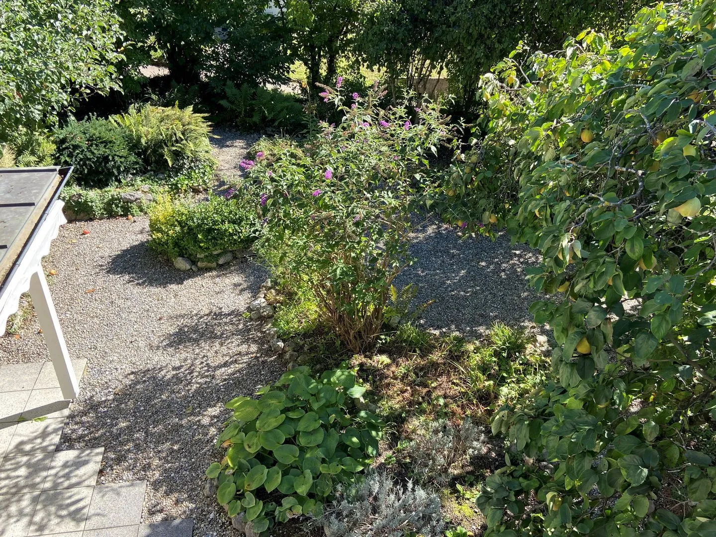 Reiheneinfamilienhaus in Münsingen - Foto 2 von 17