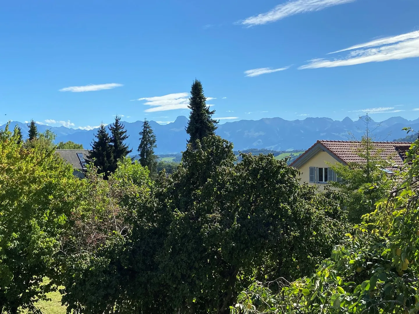 Reiheneinfamilienhaus in Münsingen - Foto 4 von 17