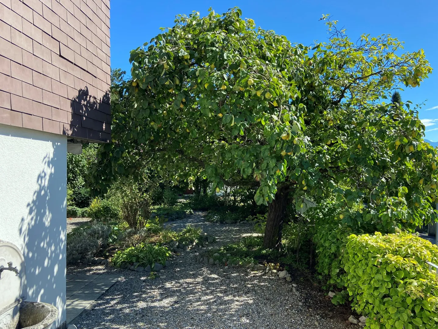 Reiheneinfamilienhaus in Münsingen - Foto 5 von 17