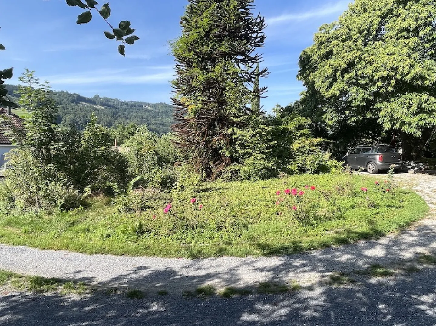 Nuovo progetto di costruzione: Casa unifamiliare 5.5 stanze - Foto 9 di 12