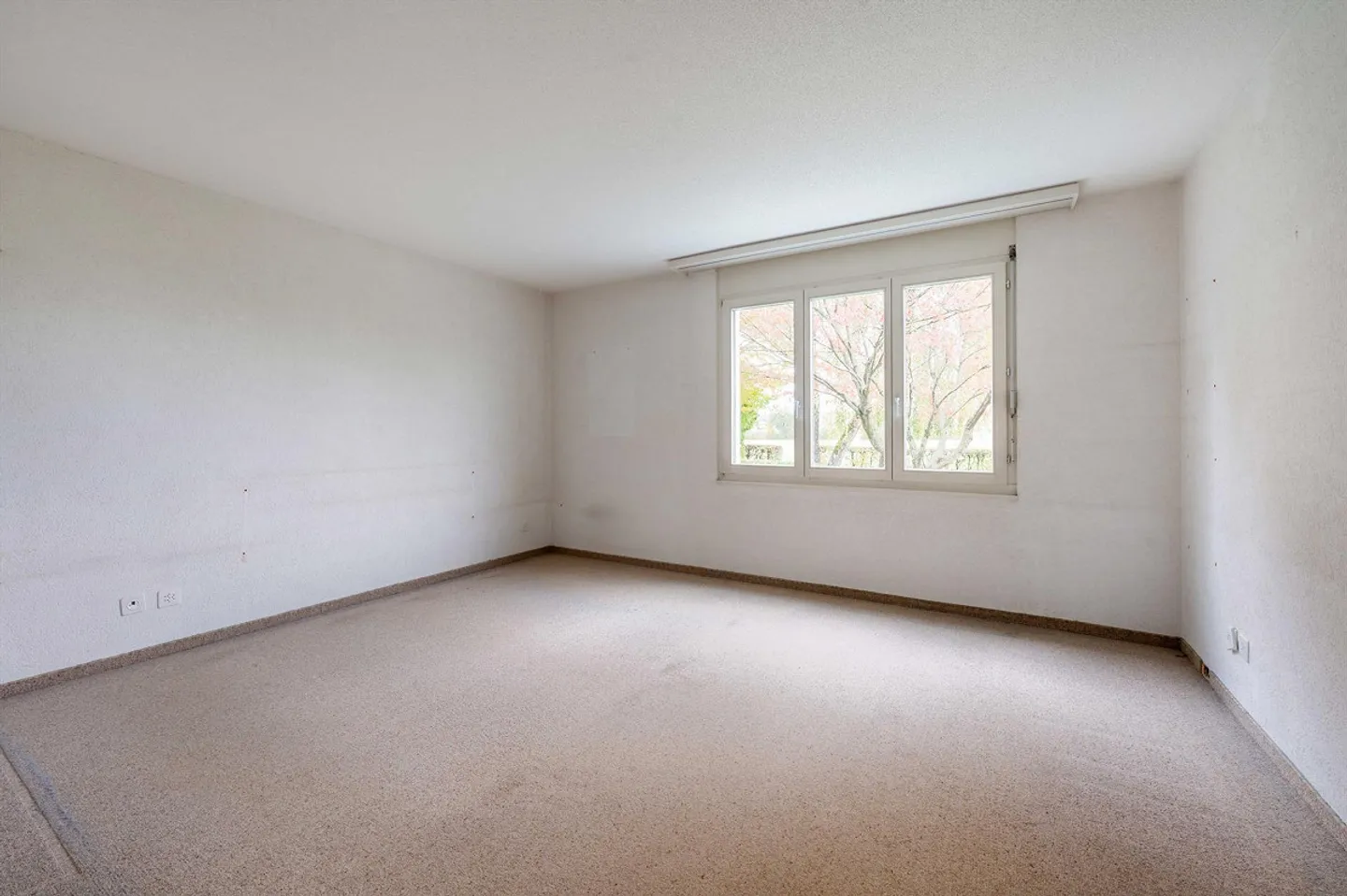 Ampio appartamento con giardino in una posizione tranquilla e centrale - Foto 7 di 12