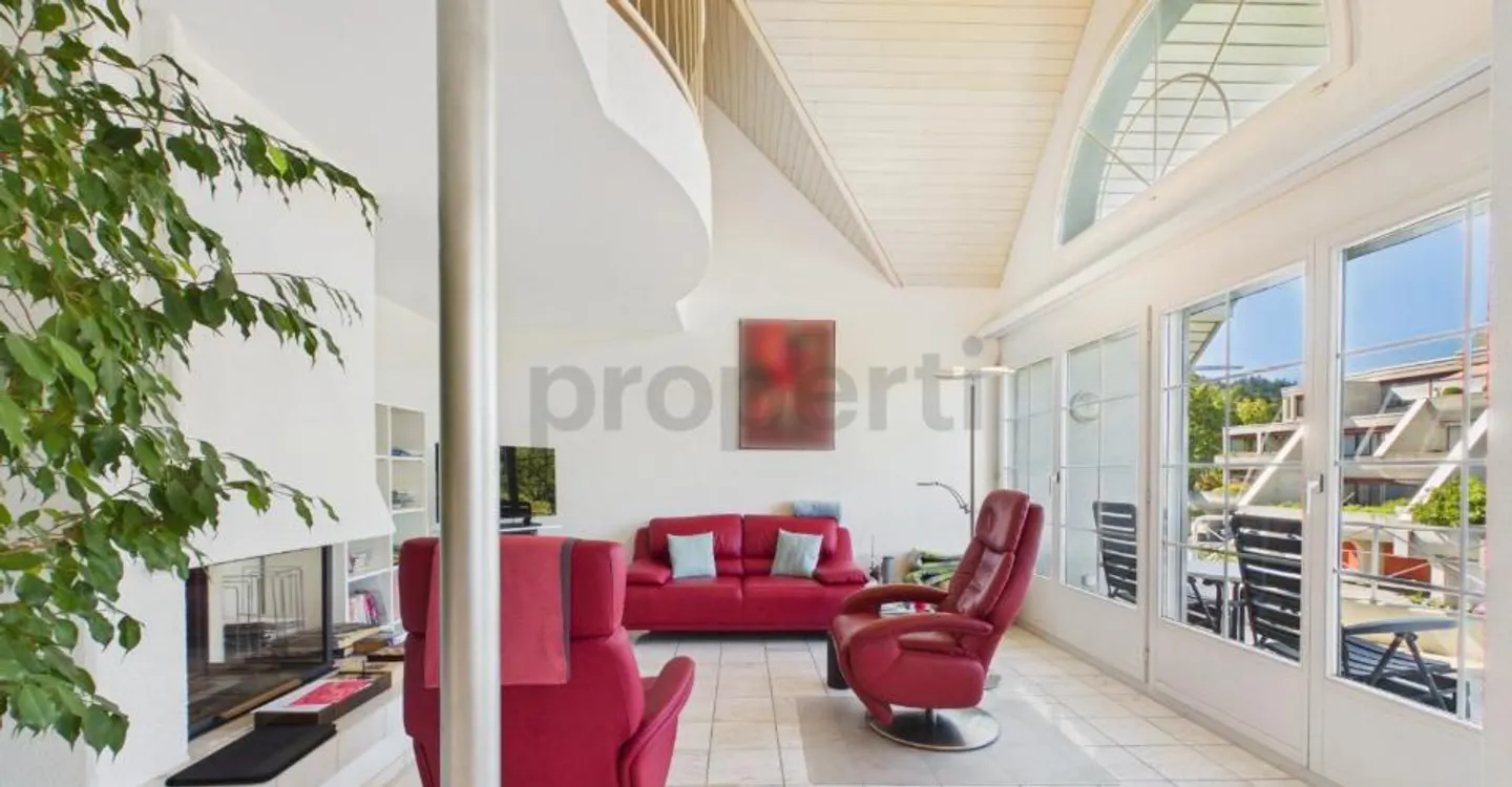 Vista panoramica su San Gallo con galleria, camino e lavatrice privata - Foto 1 di 10