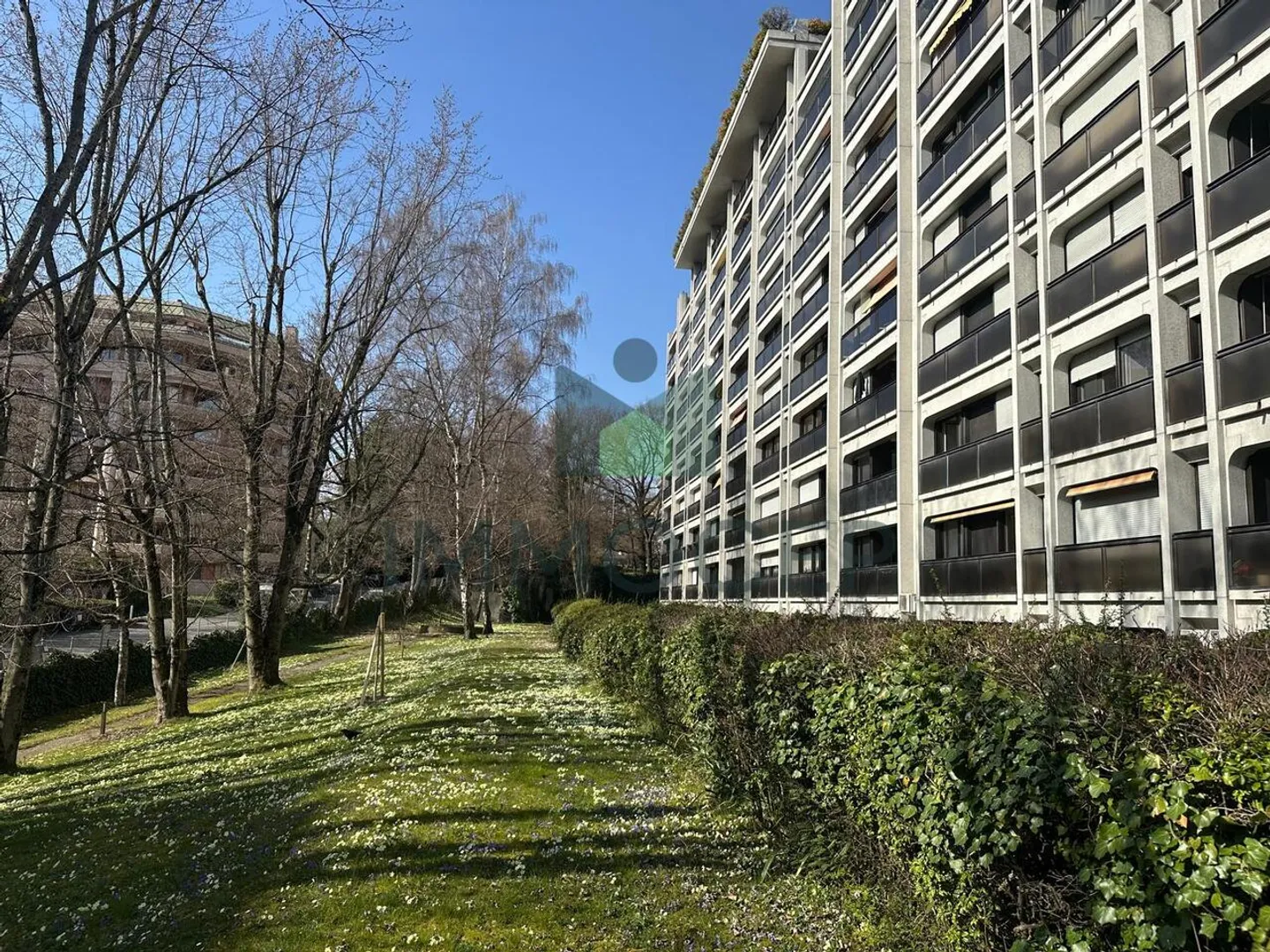 Exclusivity: Spacious 3-room apartment of 94 m2 in Petit-Saconnex - Photo 10 of 11