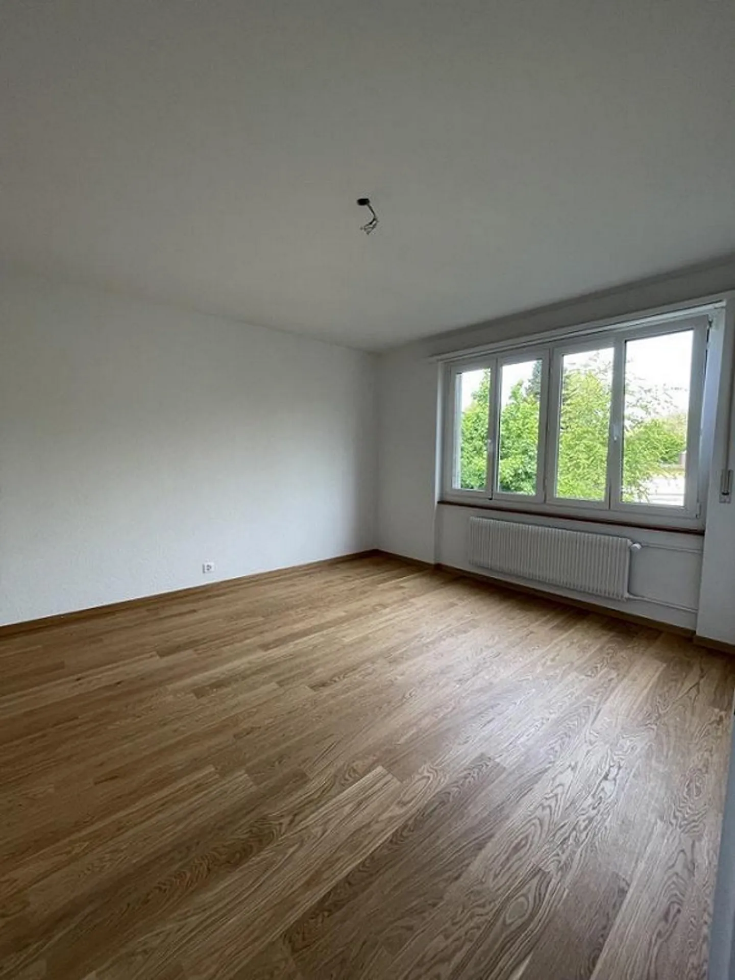 Ampio appartamento di 2,5 stanze in affitto a Wankdorf - Foto 2 di 8