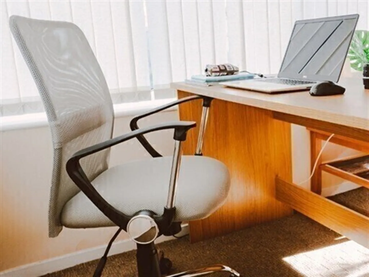 Bioggio Offices with Parking - Photo 1 of 1