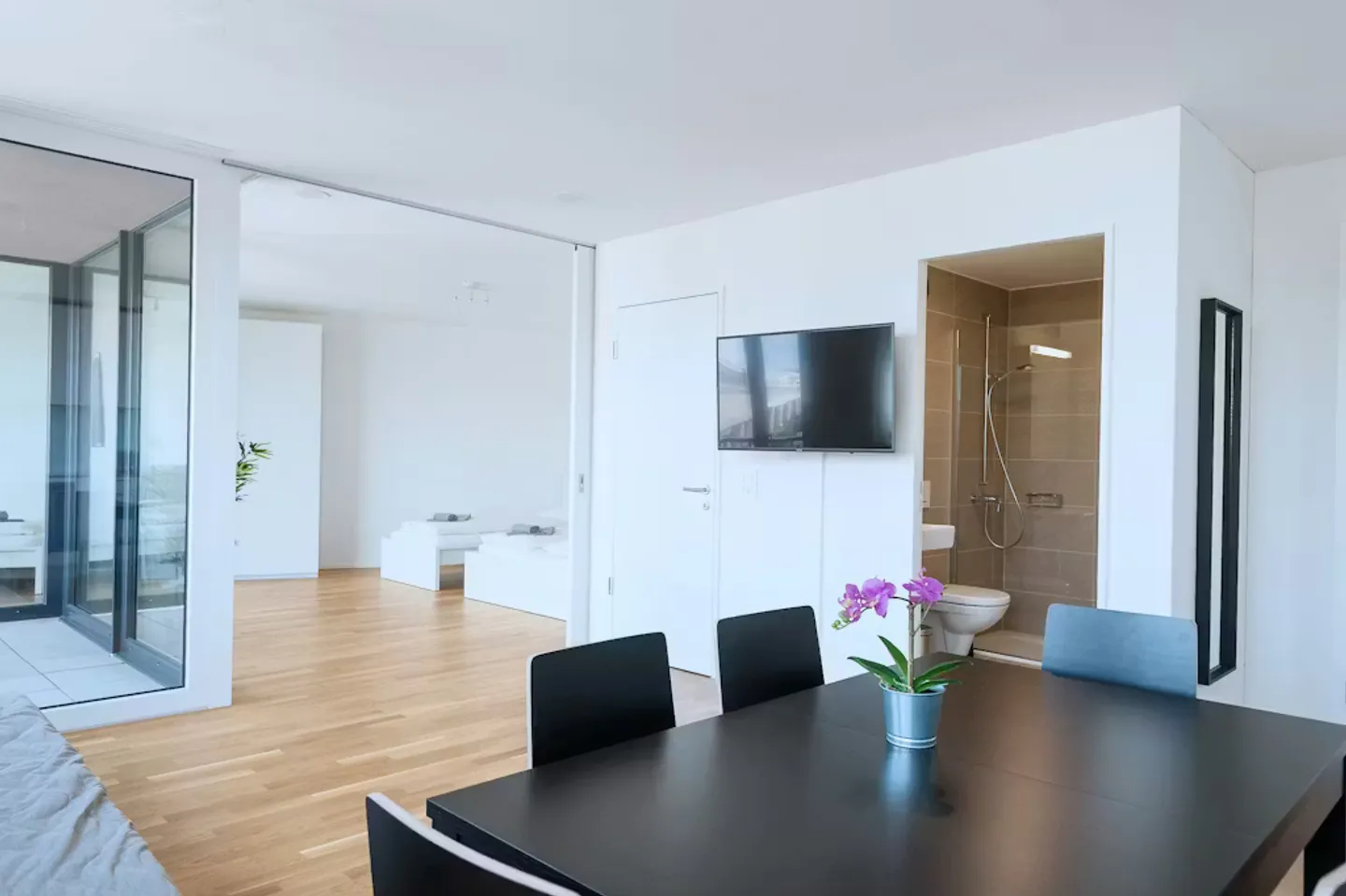 Charming Basel Apartment - Photo 9 of 10