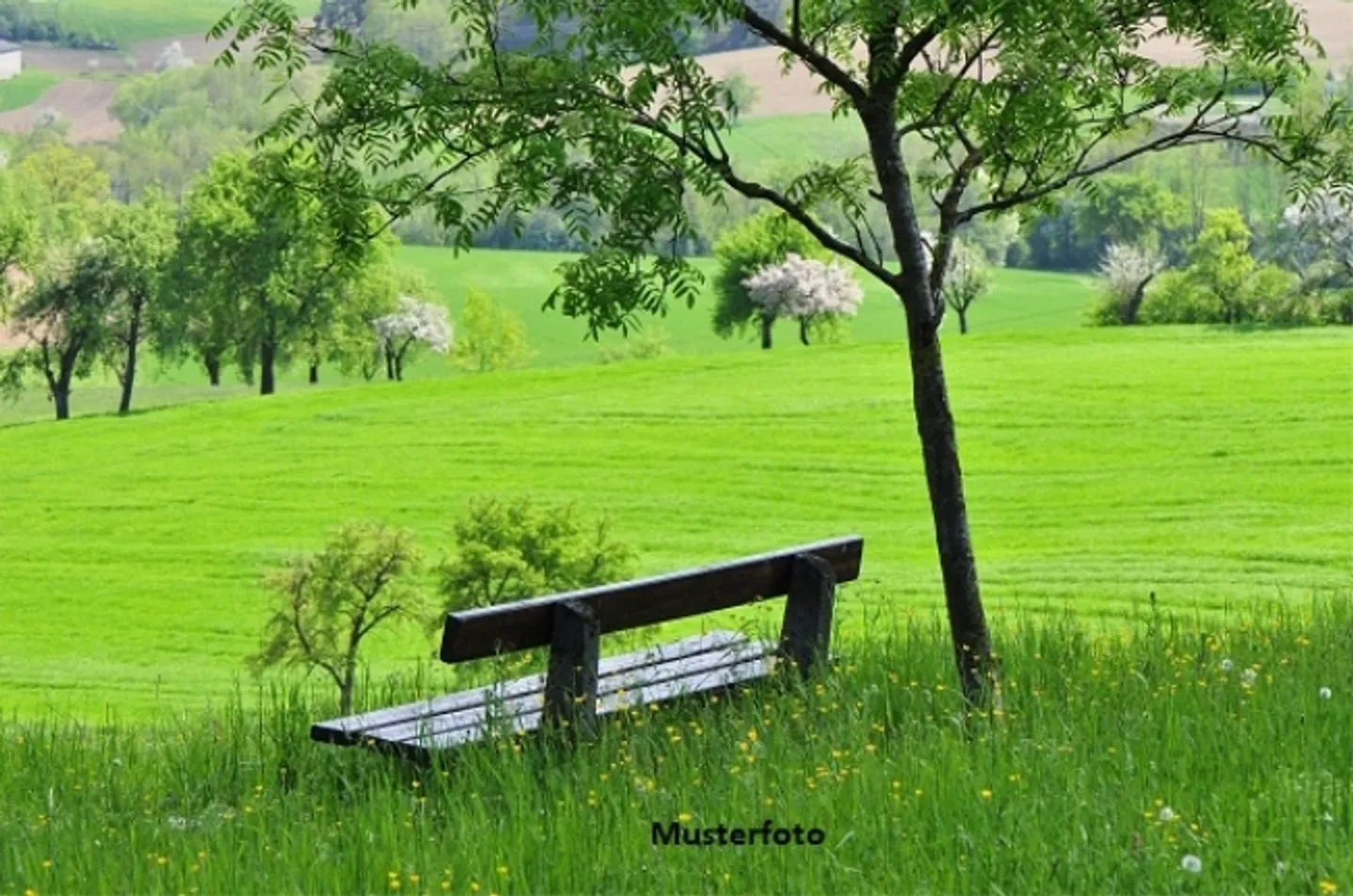 «*Terreno agricolo con bosco*» - Foto 1 di 1