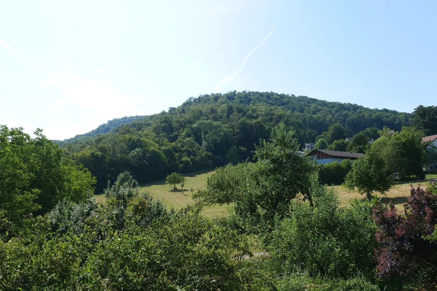 Charmante Wohnung mit Traumhaftem Ausblick - Foto 3 von 11