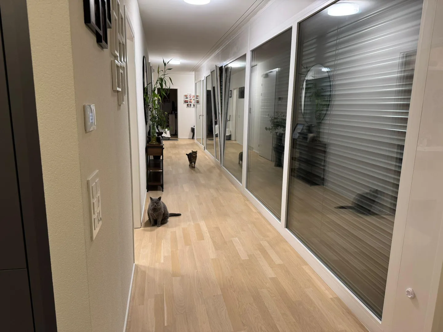 Appartement à louer - Photo 3 sur 10
