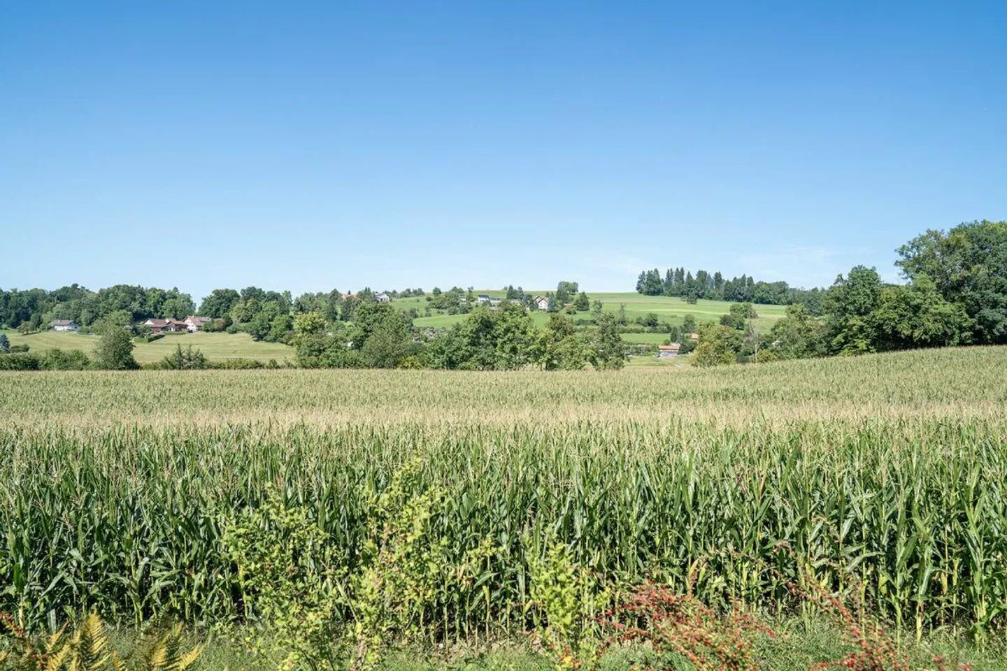 Occasione unica per la propria proprietà da sogno - Foto 11 di 12