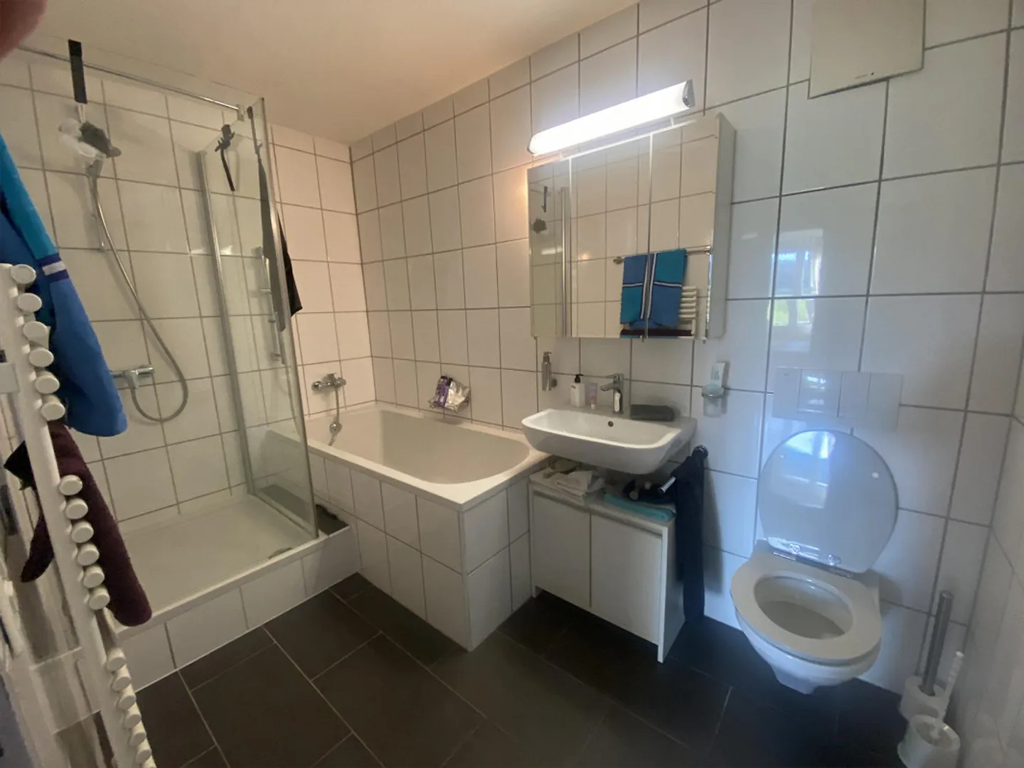 In vendita: Gioiello luminoso di 4,5 stanze a Seuzach - Foto 7 di 15