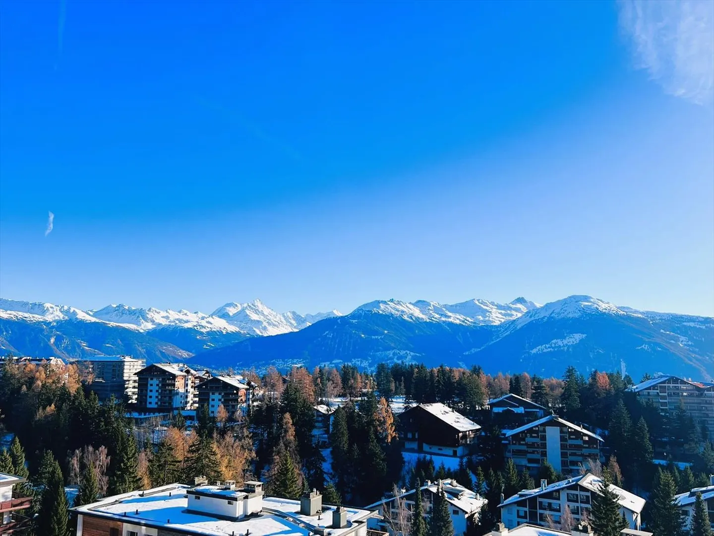 Magnifico appartamento 4.5 ristrutturato - Spazioso e luminoso - Vista splendida - Superba terrazza - Foto 11 di 24