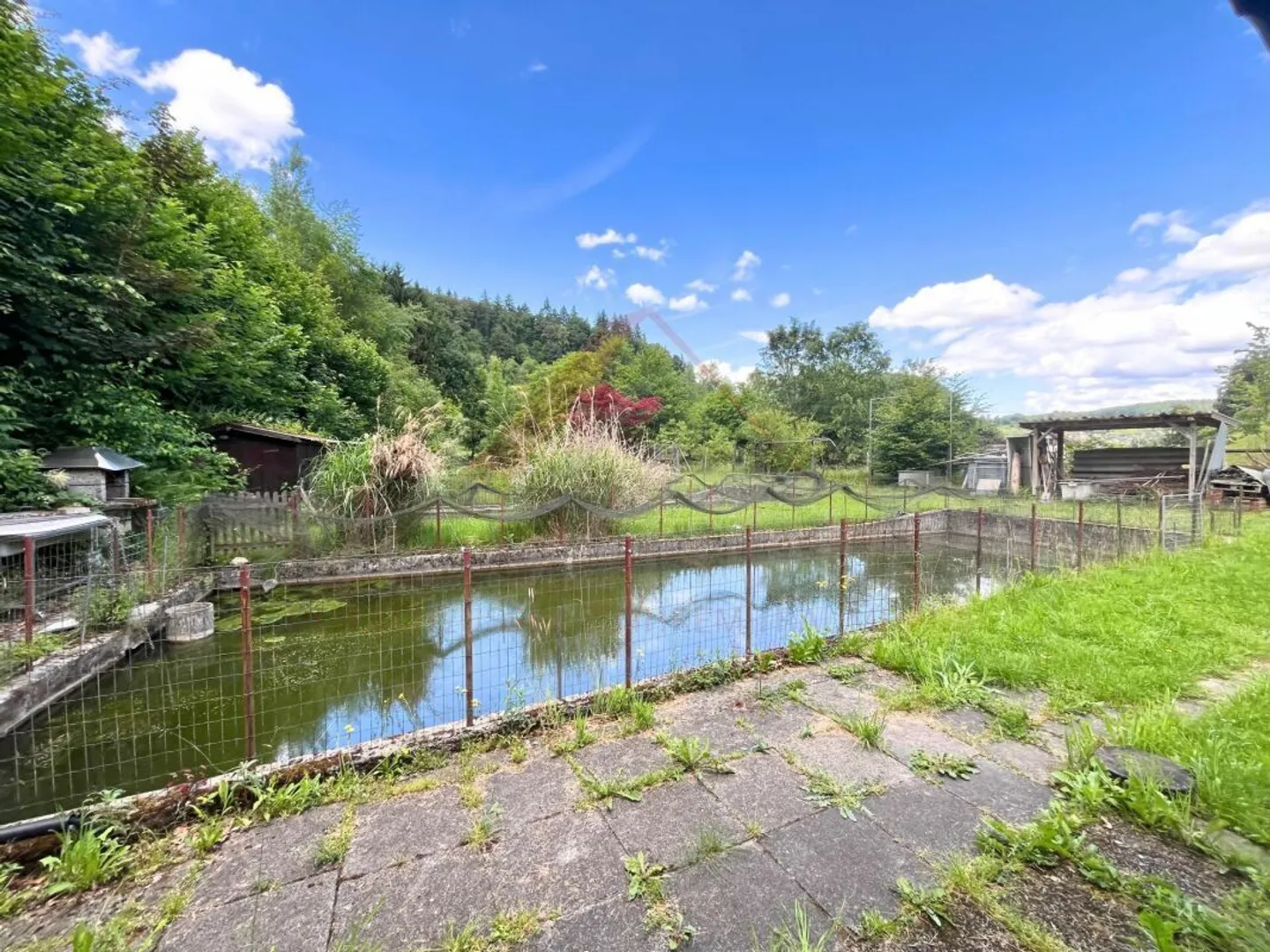Einzigartiges Naturparadies mit Teichen - Foto 4 von 8