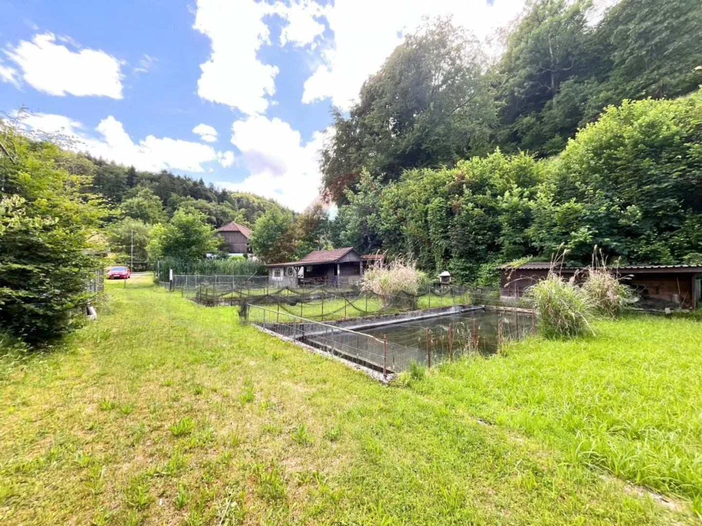 Einzigartiges Naturparadies mit Teichen - Foto 2 von 8