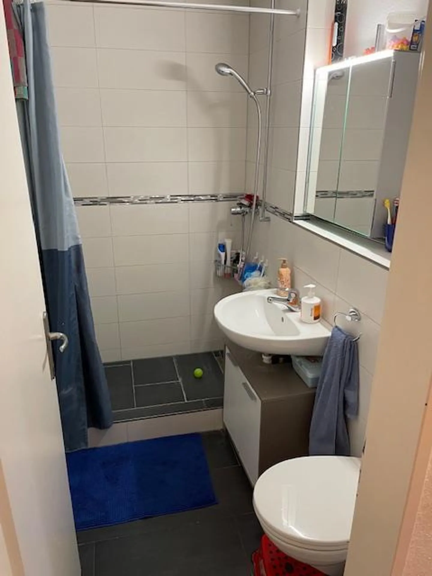 Appartamento 3.5 locali in vendita - Foto 9 di 11