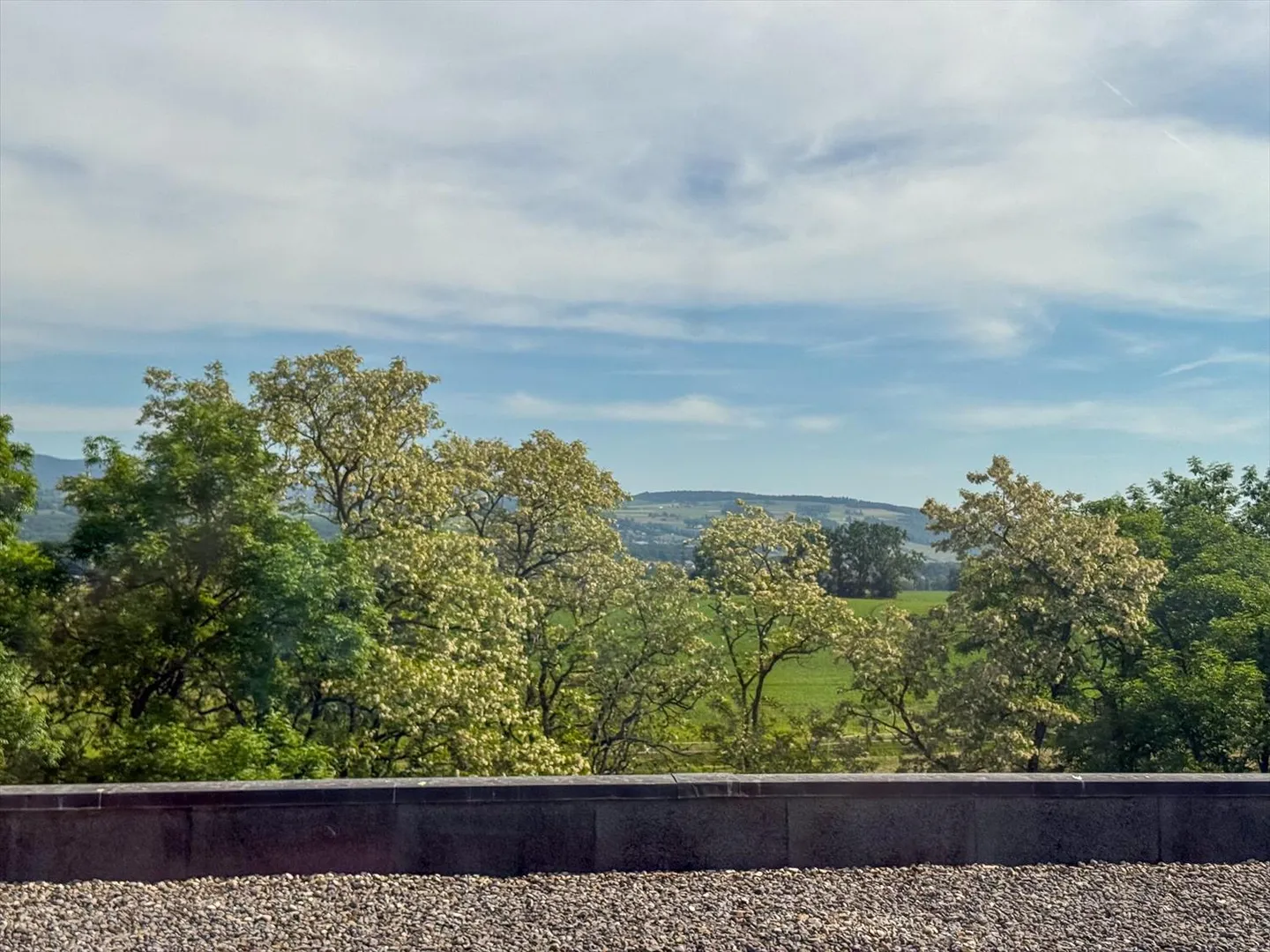 Bureau 3 pièces - Photo 2 sur 3