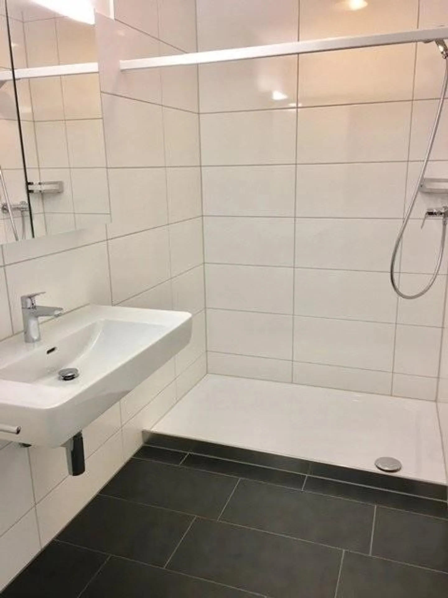 In una posizione privilegiata sulla riva sinistra del lago di Zurigo e della penisola di Au - Foto 2 di 7