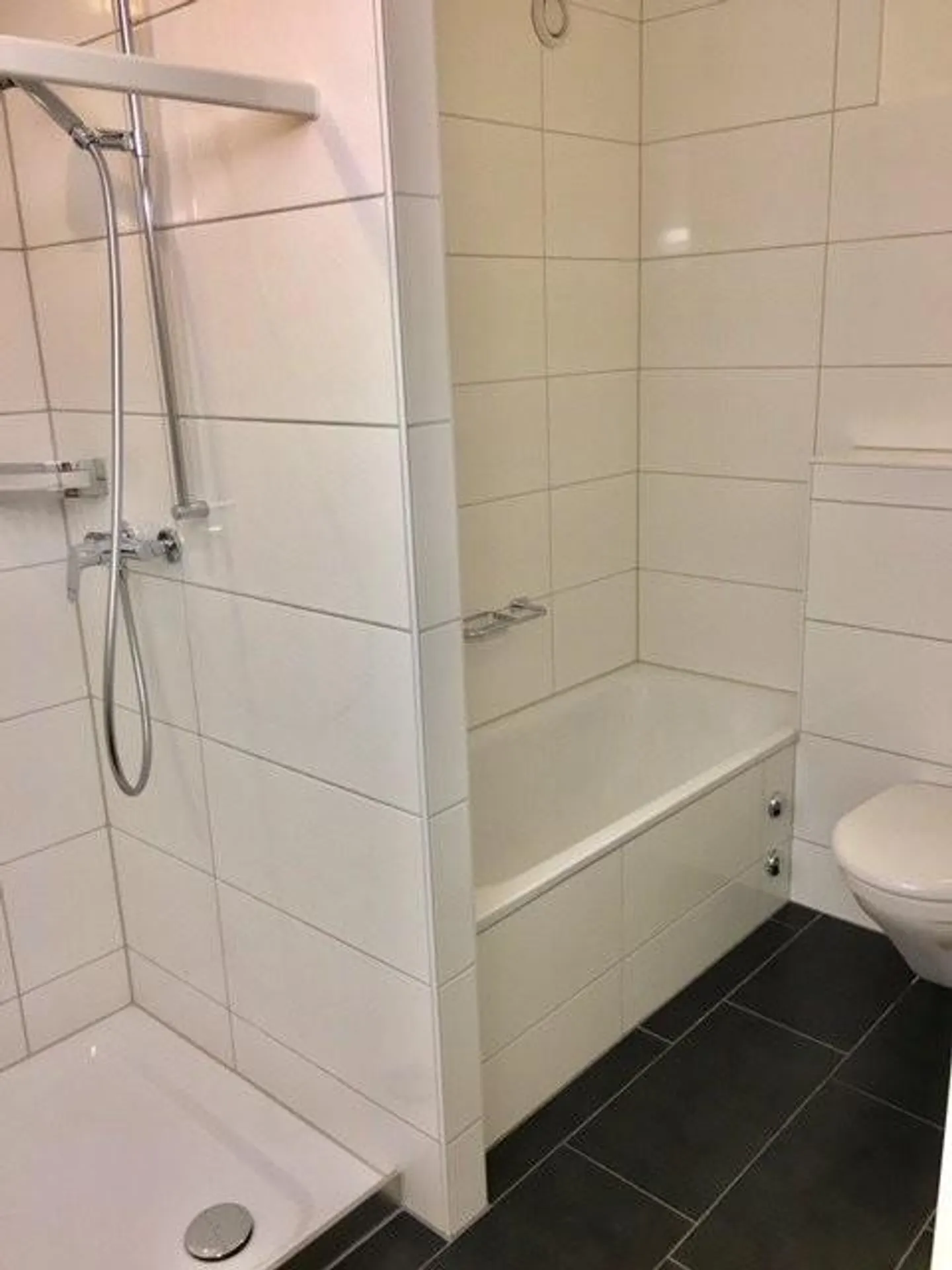 In una posizione privilegiata sulla riva sinistra del lago di Zurigo e della penisola di Au - Foto 4 di 7