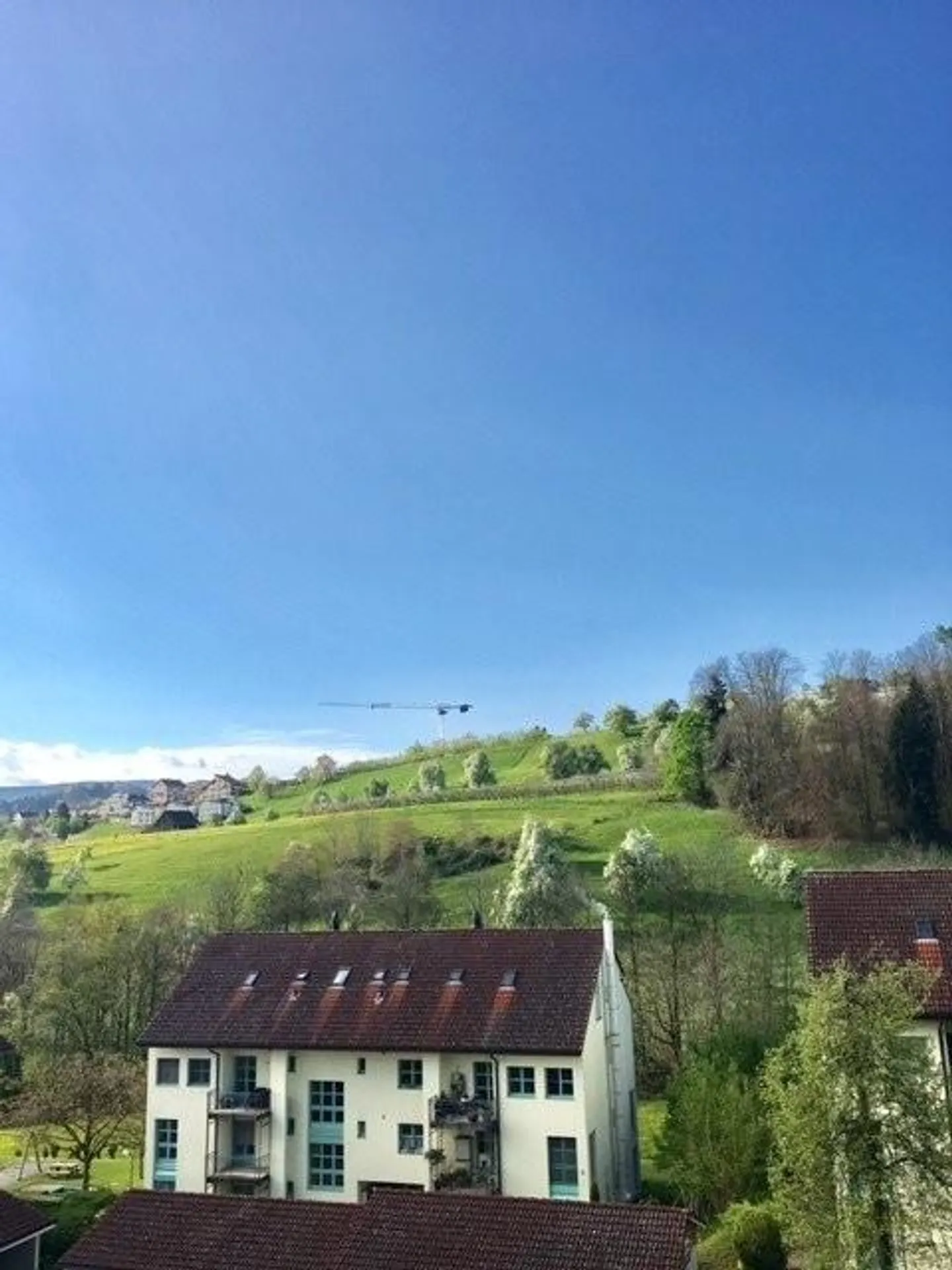 In una posizione privilegiata sulla riva sinistra del lago di Zurigo e della penisola di Au - Foto 7 di 7