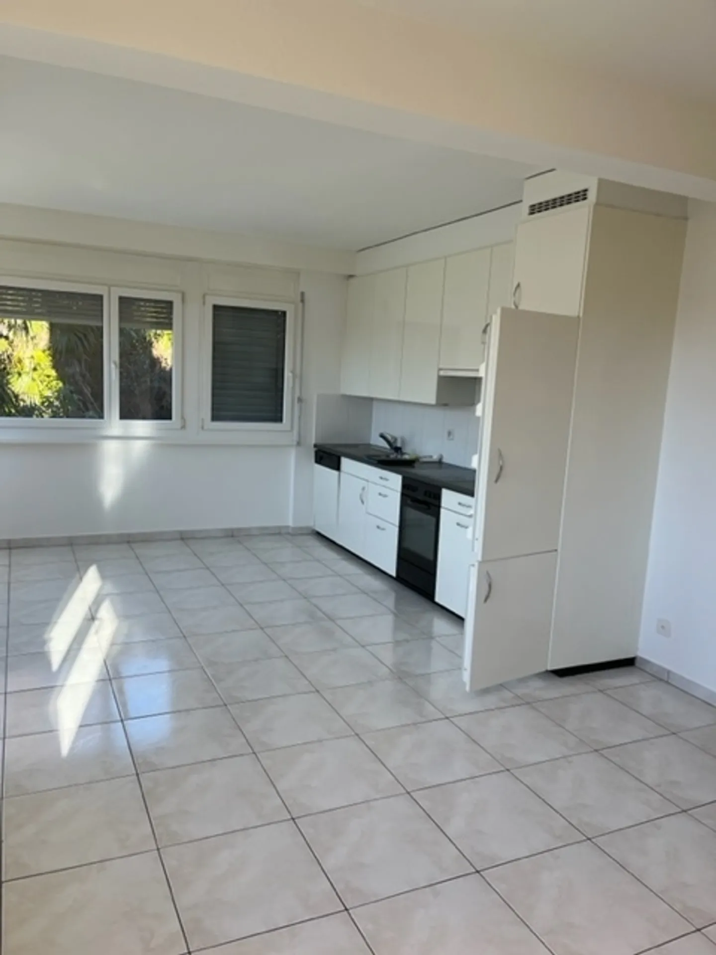 SOLDUNO, 3½ room apartment for rent near the Maggia river - Photo 3 of 11