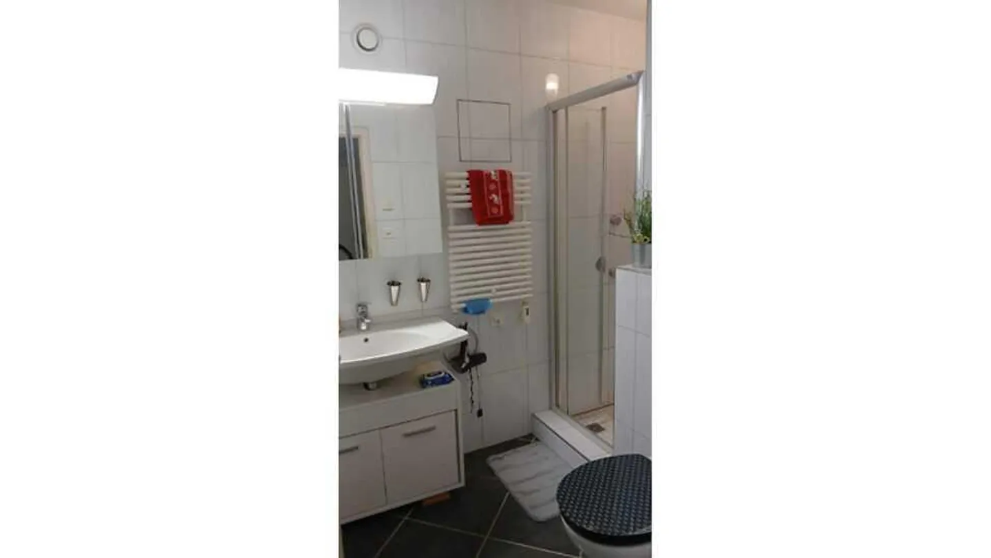 APPARTAMENTO 2½ STANZE A SAN GALLEN - ROSENBERG, ARREDATO, TEMPORANEO - Foto 7 di 10