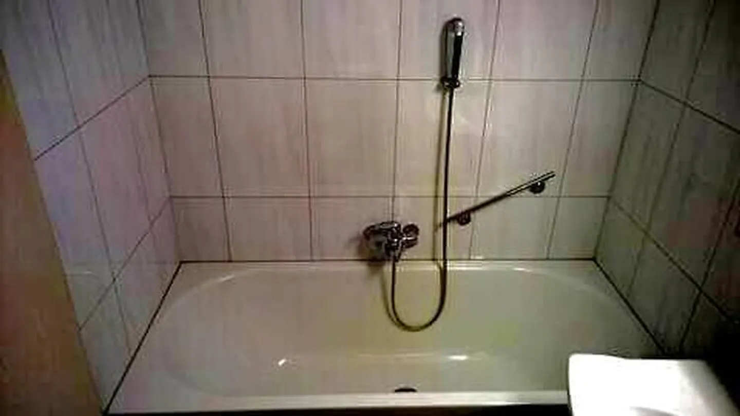 APPARTAMENTO 2½ STANZE A SAN GALLEN - ROSENBERG, ARREDATO, TEMPORANEO - Foto 8 di 10