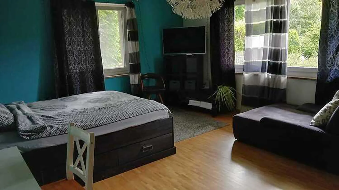 APPARTAMENTO 2½ STANZE A SAN GALLEN - ROSENBERG, ARREDATO, TEMPORANEO - Foto 3 di 10