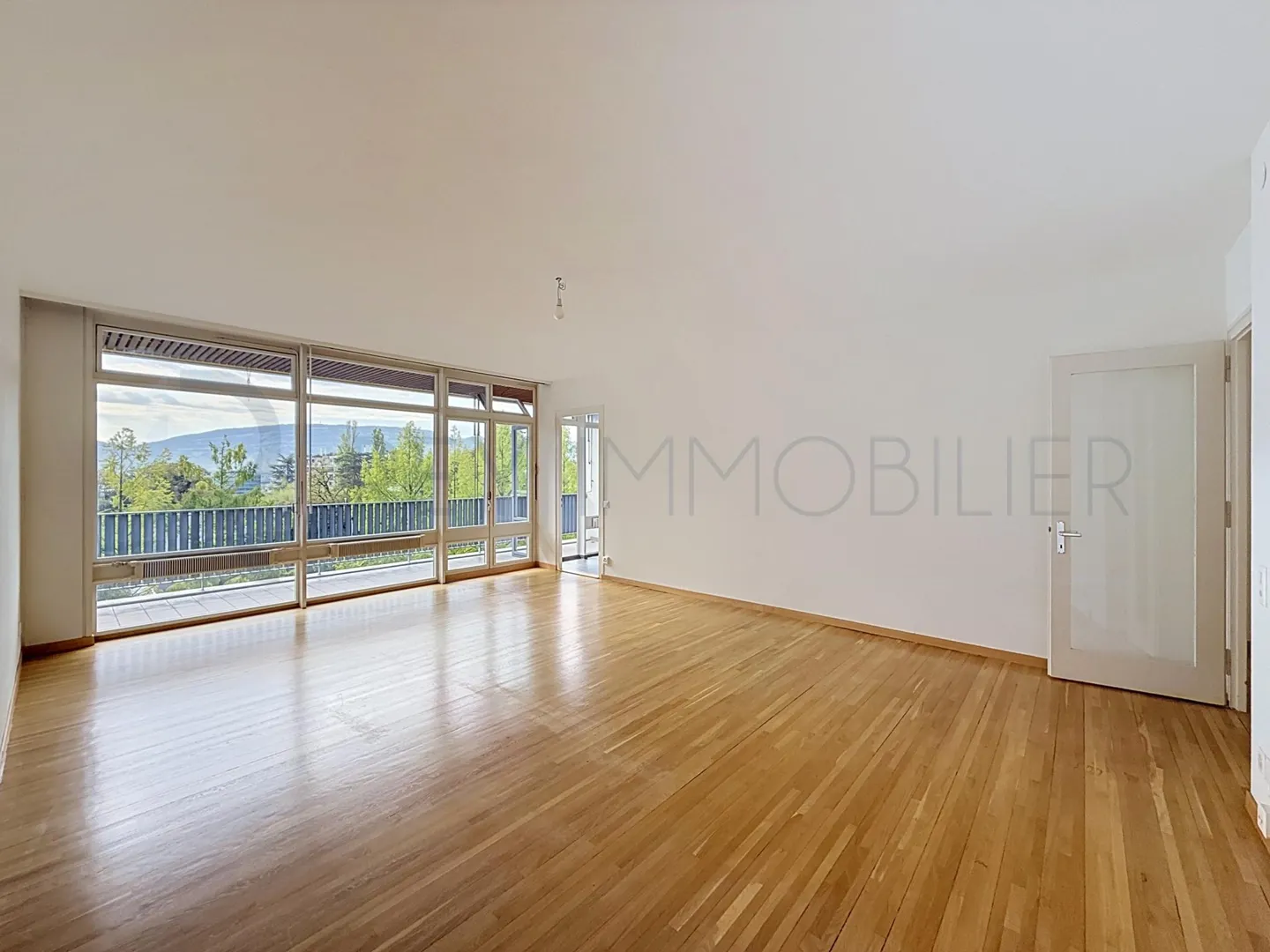 Appartement spacieux avec terrasse - Photo 3 sur 5