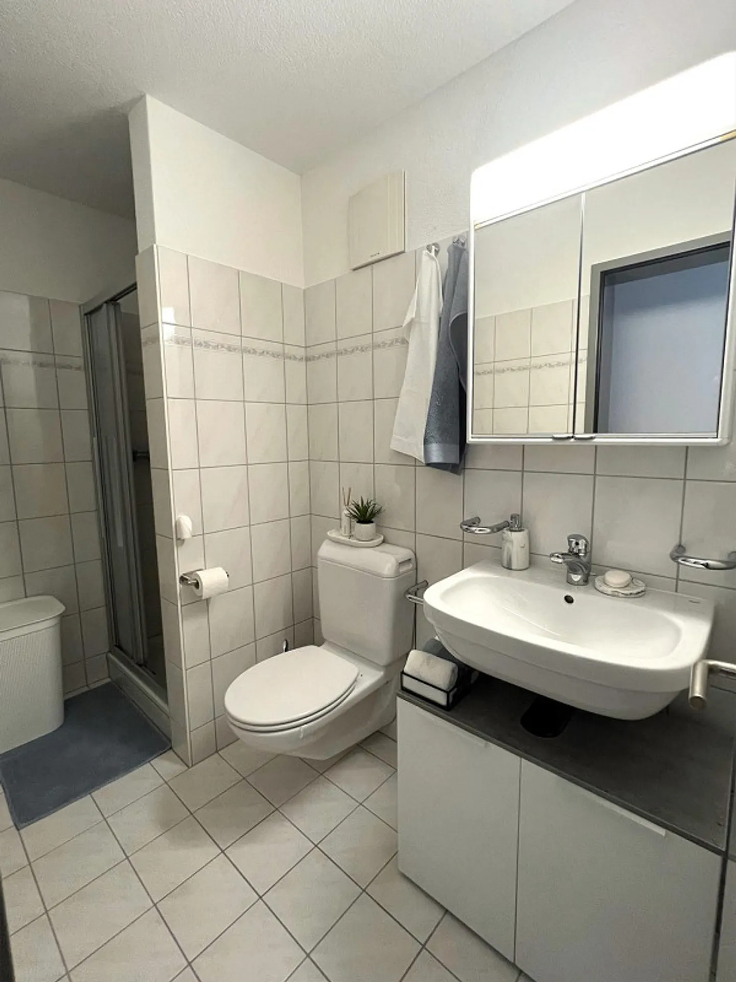 Appartamento con giardino 4,5 locali in posizione centrale a Brunnen SZ - Foto 9 di 13