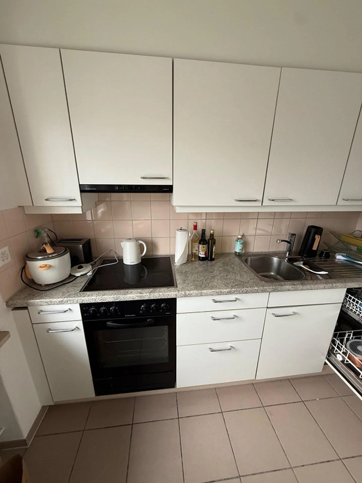 Appartamento di 2 stanze (con balcone sulla Aare) in affitto a Nidau - Foto 5 di 5