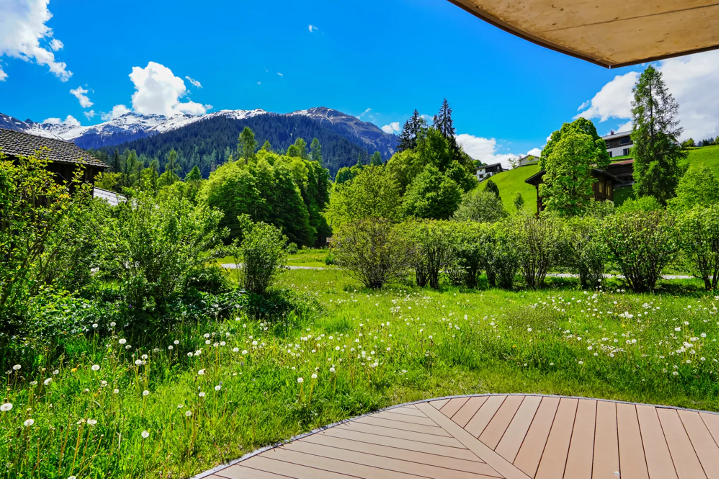 Campi d'oro - Foto 5 di 12