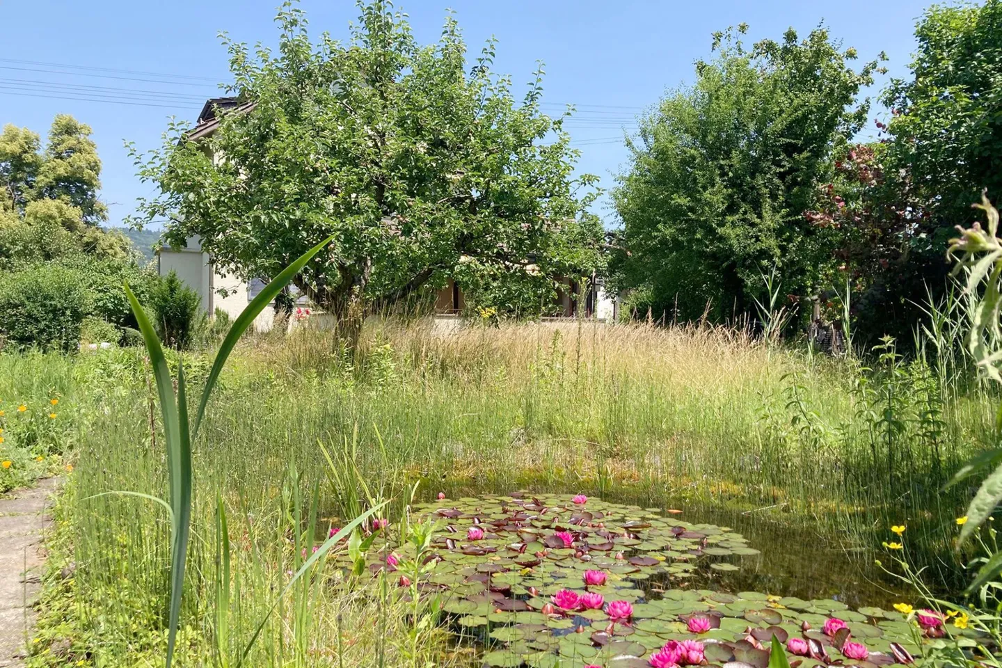 Freistehendes Haus mit Garten - Foto 10 von 12