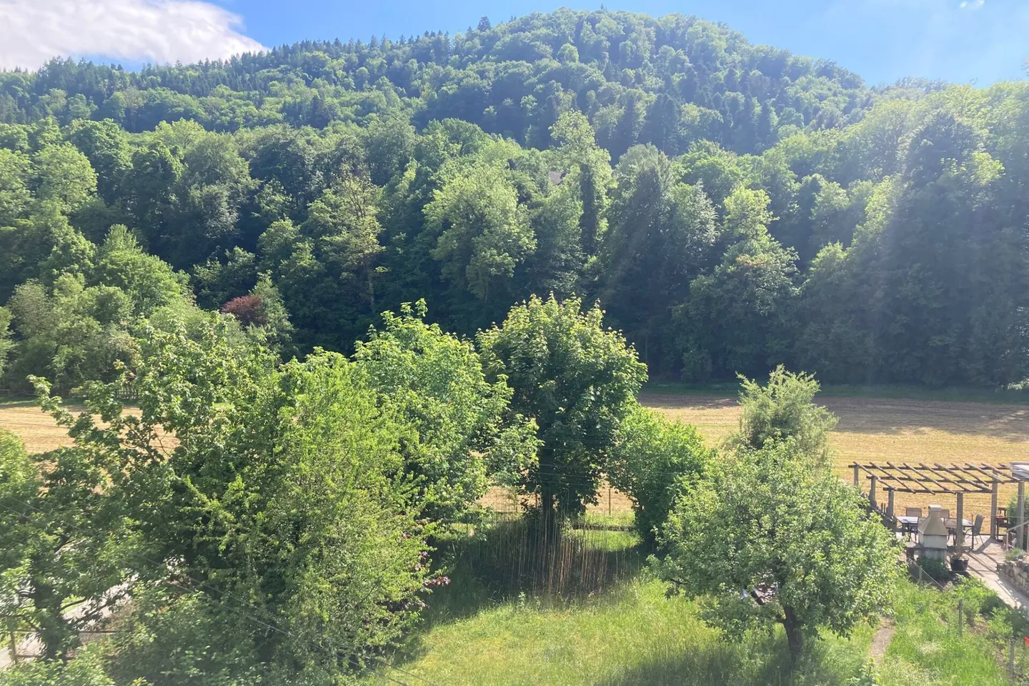 Freistehendes Haus mit Garten - Foto 11 von 12