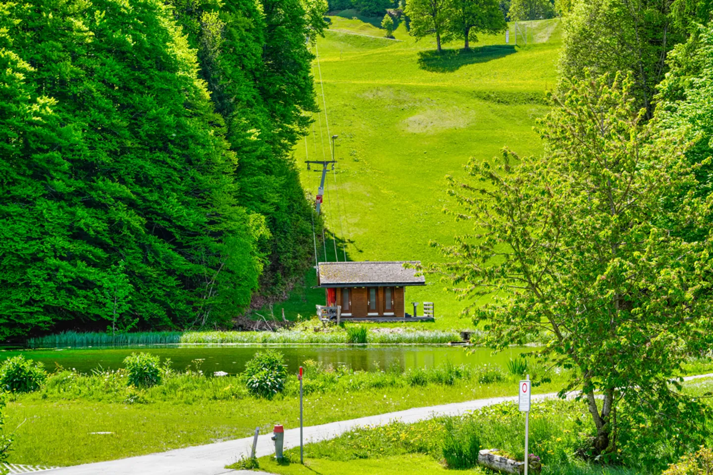 Campi d'oro - Foto 9 di 12