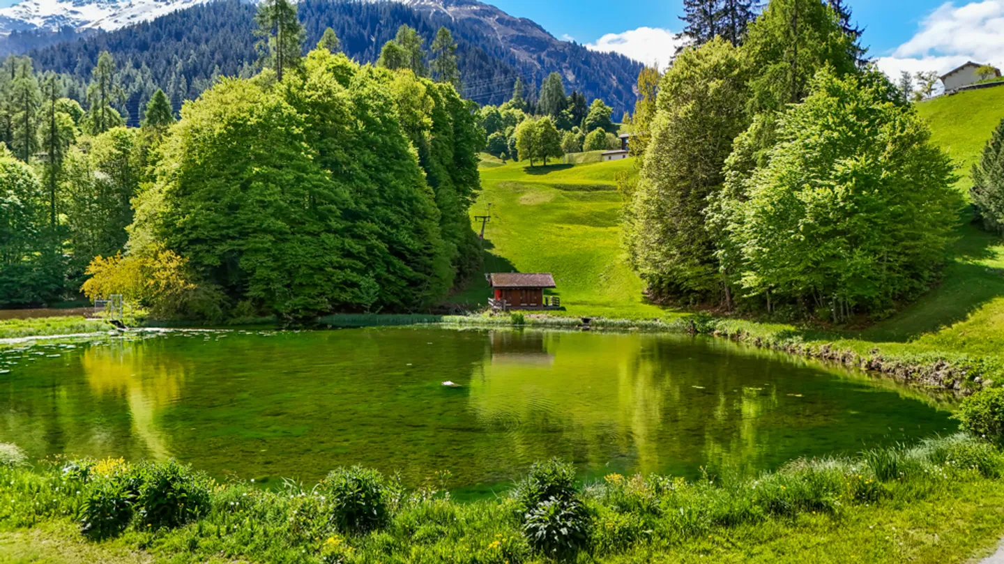 Campi d'oro - Foto 12 di 12