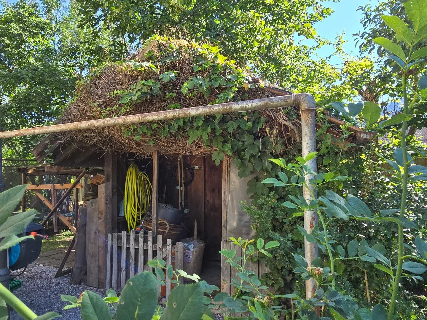 Charmantes Familienhaus mit Garten - Foto 49 von 65