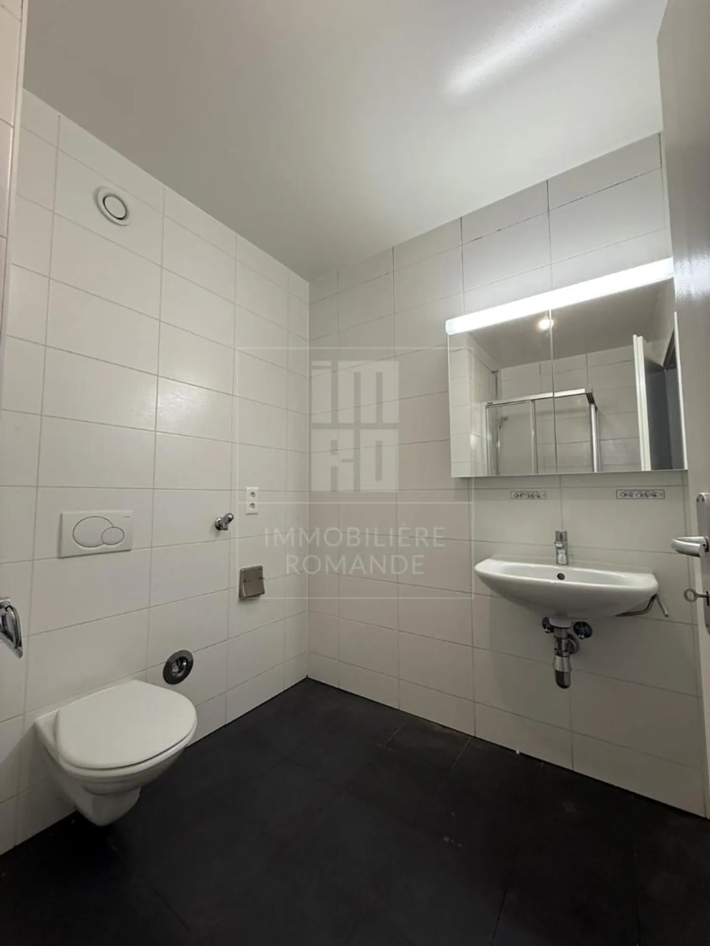 Appartement Charmant à Satigny - Photo 6 sur 13