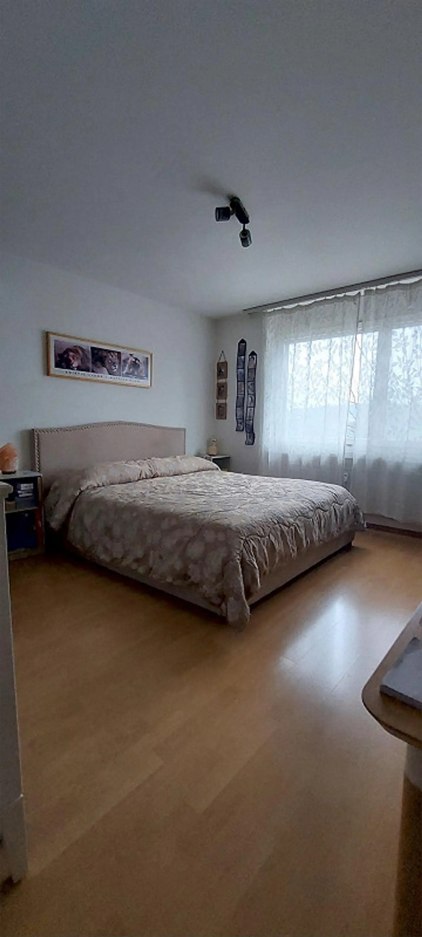 Appartamento 3.5 locali - Foto 7 di 8